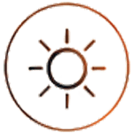 Experience Icon